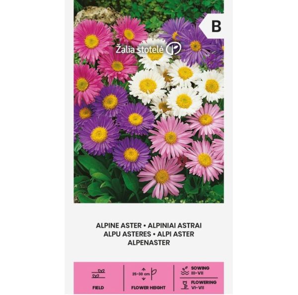 Alppiasteri